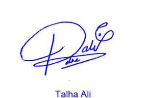 Talha Ali Signature Style